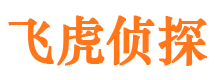 东方捉小三公司